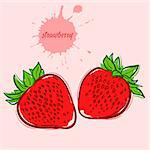 hand draw of strawberry vector illustration of isolated colorful