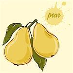 hand draw of pear vector illustration of isolated colorful