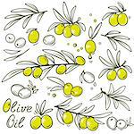 set of graphic olive branch silhouettes with fruits