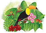 Tropical Rain Forest  Jungle Plants with Leaves Flowers and Toucan Bird Isolated on White Background Color Illustration