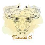 Hand drawn line art of decorative zodiac sign Taurus on white background. Horoscope vintage card in doodle style with handwritten word.