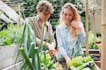 Young man and woman tending to plants in wooden troughs