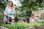 Young man and woman tending to plants in wooden troughs, young woman water plants using watering can