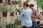 Young man and woman tending to plants growing in cans, young woman watering plants using watering can