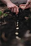 Woman planting seeds in soil