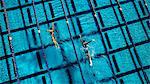 Overhead view of swimmers in pool