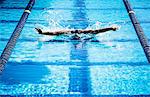 Swimmers doing butterfly stroke in lane