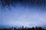 Meteor shower in blue sky above treetops, Naestved, Denmark