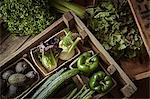 Still life fresh, organic, green, healthy vegetable variety in wood crate