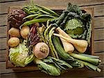 Still life fresh, organic, healthy vegetable harvest variety in wood crate