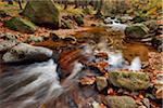 Water flowing in the Rriver Ilse with autumn leaves in the Ilse Valley along the Heinrich Heine Trail in Harz National Park, Harz, Germany