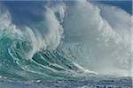 Big dramatic wave in the Pacific Ocean at Oahu, Hawaii, USA