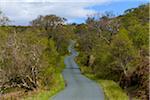 Winding single track road through the countryside in spring on the Isle of Skye in Scotland, United Kingdom