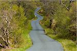 Single track road winding through the countryside in spring on the Isle of Skye in Scotland, United Kingdom