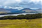 Scenic landscape of hills and a Scottich loch in springtime in Scotland, United Kingdom