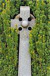 Close-up of a Celtic cross against shrubbery at the Old Town Cemetery in Stirling, Scotland, United Kingdom