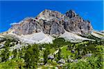 Grassy mountain side with the mountain tops of the Dolomites at the Falzarego Pass in the Province of Belluno, Italy