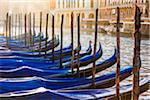 Close-up of a row of Gondola boats at a station in early morning light along the Grand Canal in Venice, Italy