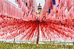 Rows of pink prayer flags at Waqietalin temple, Sichuan, China