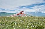 Prayer flags in landscape, Luhuo, Sichuan, China