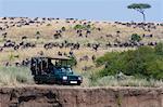 A safari vehicle in the Masai Mara National Reserve, Kenya, Africa