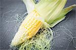 Corn on the cob, close-up