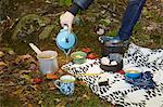 Woman pouring tea, standing beside japanese food in forest, low section, Colgate Lake Wild Forest, Catskill Park, New York State, USA