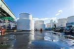 Biofuel storage tanks at biofuel plant