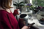 Over shoulder view of woman watering potted plants on windowsill