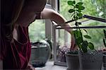 Young woman removing potted plant from windowsill terrarium