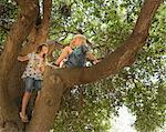 Children sitting in tree
