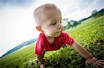 Baby boy crawling in grassy  rural field