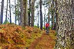 Woman mountain biking through forest