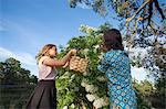 Mother and daughter picking elderflowers