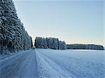 Country road with forest and field in winter