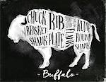 Poster buffalo cutting scheme lettering chuck, brisket, shank, rib, plate, flank, sirloin, shortloin, rump, round, shank in vintage style drawing with chalk on chalkboard background