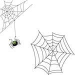 Spider and web. Halloween icon isolated on white background. Cartoon style vector illustration