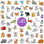 Cartoon Illustration of Cats Pet Animal Characters Big Set