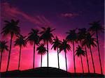 3D render of a palm tree landscape against a sunset sky