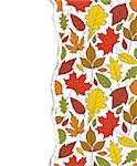 Colorful pattern with autumn leaves.Autumn background.Vector illustration.