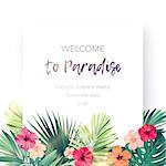 Green summer tropical background with exotic palm leaves and hibiscus flowers. Floral background, vector illustration.