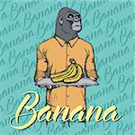 Vector gorilla with bananas illustration. Vector monkey and food concept