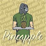 Vector gorilla with pineapple illustration. Vector monkey and food concept