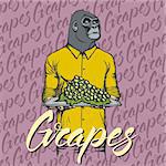 Vector gorilla with grapes illustration. Vector monkey and food concept