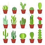 Cactus icons in cartoon flat style isolated on white background. Home plants cactus in pots and with flowers. A variety of decorative cactus with prickles and without.