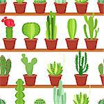 Seamless pattern of flowers pots with cacti and succulents in floral racks and shelves. Cartoon style vector background