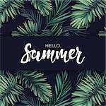 Summer tropical vector design for banner or flyer with dark green palm leaves and white lettering.