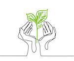 Hands holds a living green plant seedling. Continuous line drawing. Vector illustration