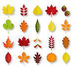 Paper cut autumn leaves set. Fall leaves colorful paper collection. Vector illustration
