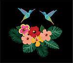 vector illustration of hummingbird and flowers